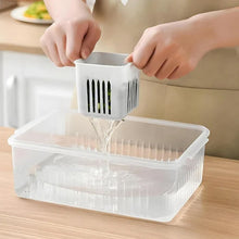 Fridge Storage Box – Freezer & Kitchen Organizer for Vegetables & Food (1 Pc) - HomeShop24 - Your Home of Quality Finds | Homeshop24.in - Best Price & Offers